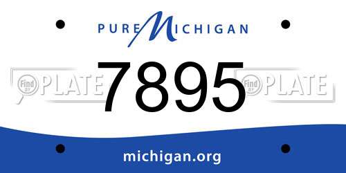 7895 Michigan License Plate