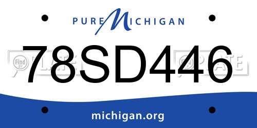78SD446 Michigan License Plate