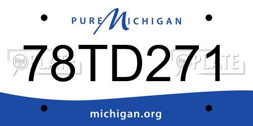 78TD271 Michigan License Plate