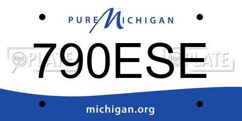 790ESE Michigan License Plate