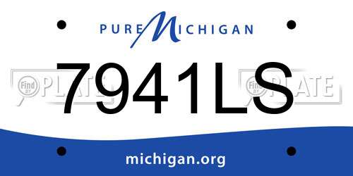 7941LS Michigan License Plate