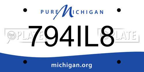 794IL8 Michigan License Plate