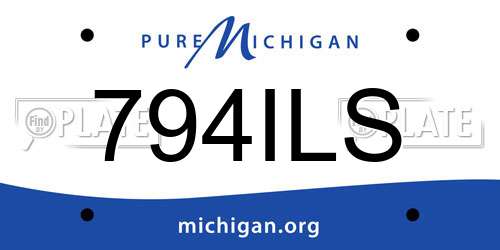 794ILS Michigan License Plate