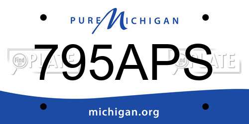 795APS Michigan License Plate