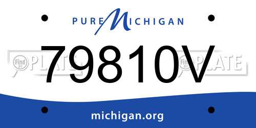 79810V Michigan License Plate