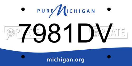 7981DV Michigan License Plate