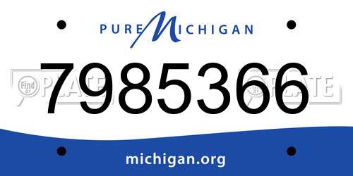 7985366 Michigan License Plate