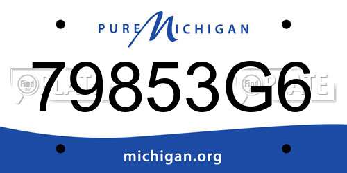 79853G6 Michigan License Plate
