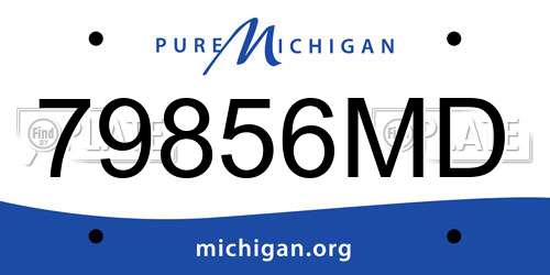 79856MD Michigan License Plate