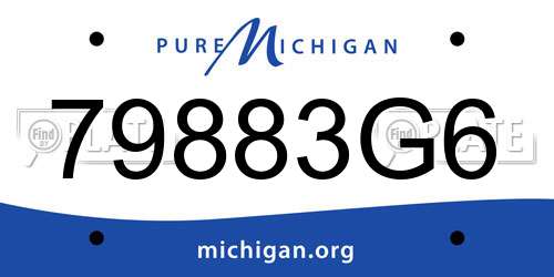 79883G6 Michigan License Plate