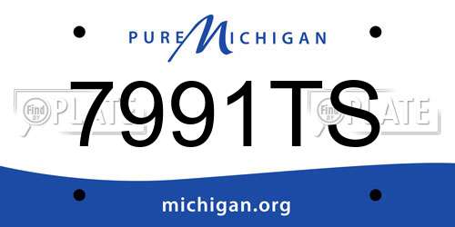7991TS Michigan License Plate