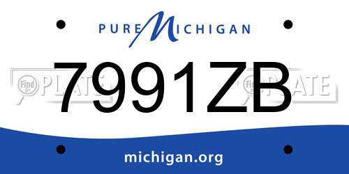 7991ZB Michigan License Plate