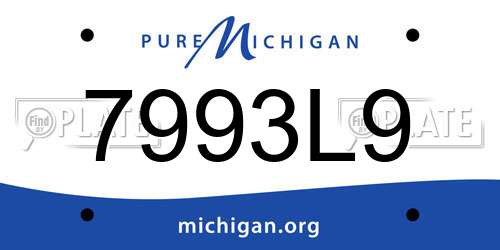 7993L9 Michigan License Plate