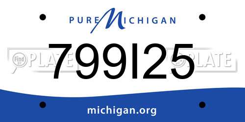 799I25 Michigan License Plate