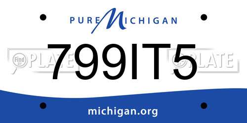 799IT5 Michigan License Plate
