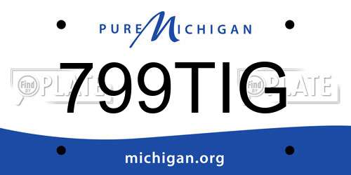 799TIG Michigan License Plate