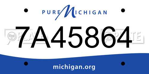 7A45864 Michigan License Plate