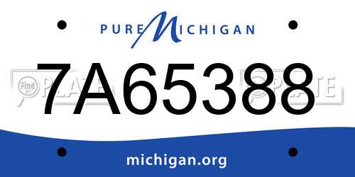7A65388 Michigan License Plate