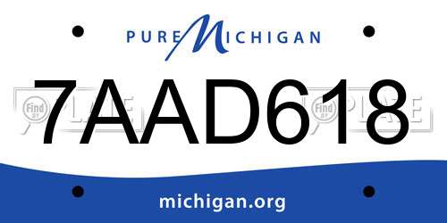 7AAD618 Michigan License Plate