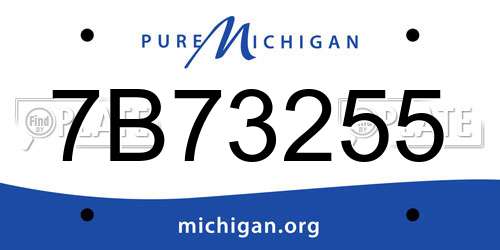 7B73255 Michigan License Plate