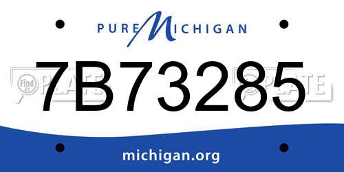 7B73285 Michigan License Plate