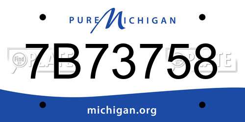 7B73758 Michigan License Plate