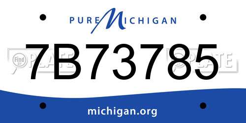 7B73785 Michigan License Plate