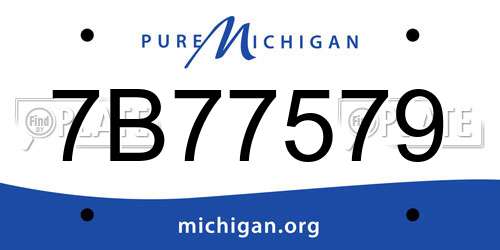7B77579 Michigan License Plate