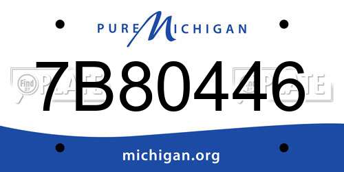 7B80446 Michigan License Plate