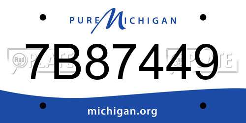 7B87449 Michigan License Plate
