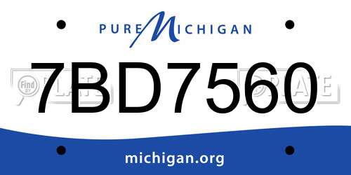 7BD7560 Michigan License Plate