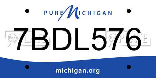 7BDL576 Michigan License Plate