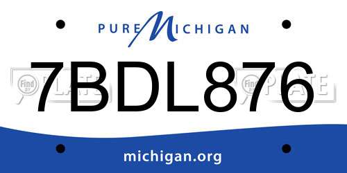 7BDL876 Michigan License Plate