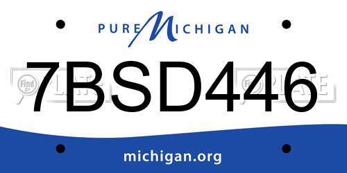 7BSD446 Michigan License Plate