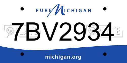 7BV2934 Michigan License Plate