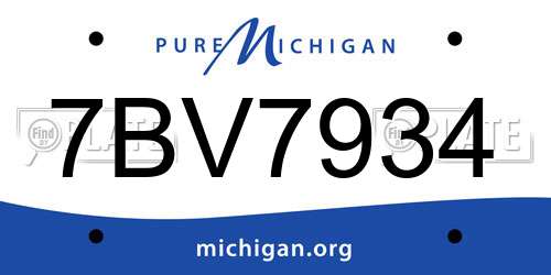 7BV7934 Michigan License Plate