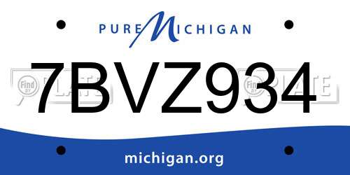 7BVZ934 Michigan License Plate