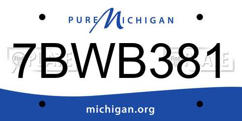 7BWB381 Michigan License Plate