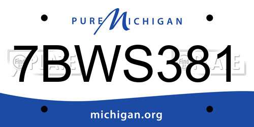 7BWS381 Michigan License Plate