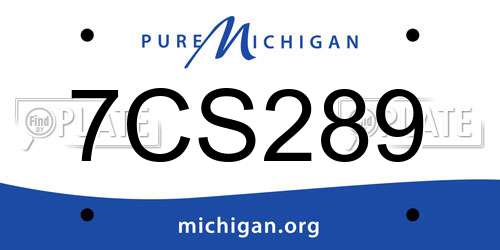7CS289 Michigan License Plate