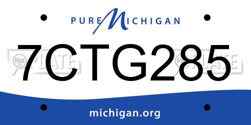 7CTG285 Michigan License Plate