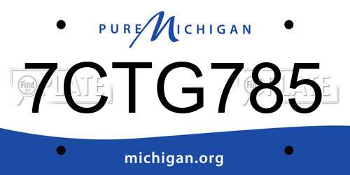 7CTG785 Michigan License Plate