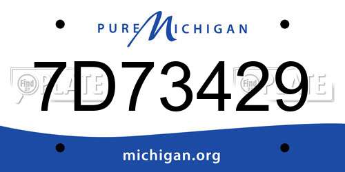 7D73429 Michigan License Plate