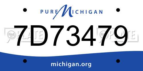 7D73479 Michigan License Plate