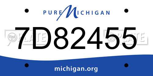 7D82455 Michigan License Plate