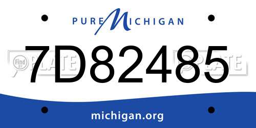 7D82485 Michigan License Plate