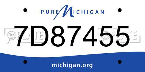 7D87455 Michigan License Plate