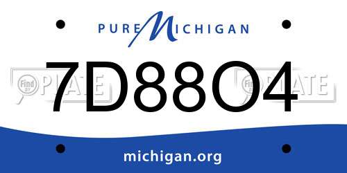 7D88O4 Michigan License Plate