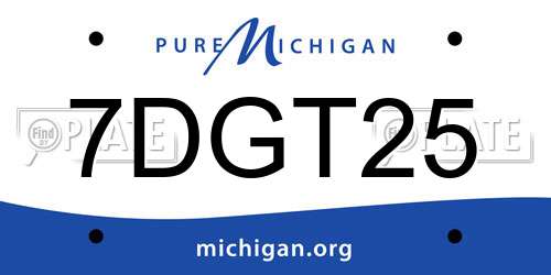 7DGT25 Michigan License Plate