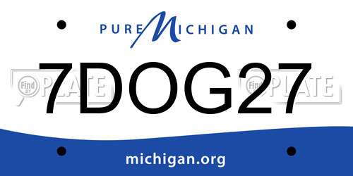 7DOG27 Michigan License Plate